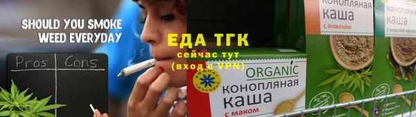 хмурый Алзамай
