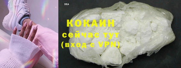 индика Сатка