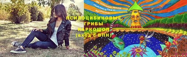 хмурый Алзамай