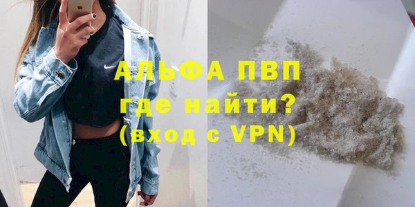 хмурый Алзамай