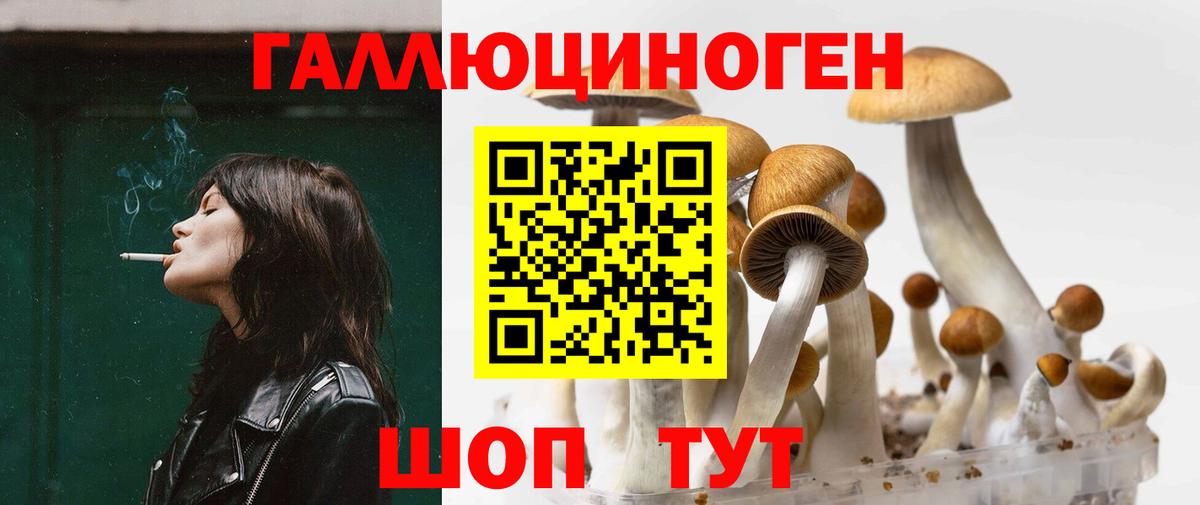 Псилоцибиновые грибы MAGIC MUSHROOMS Всеволожск